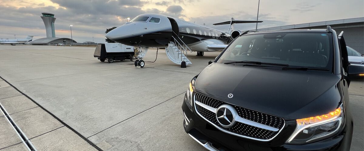 Celebrating 20 Years of Evolution Protection 