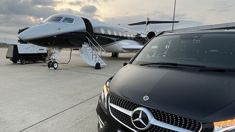 Celebrating 20 Years of Evolution Protection